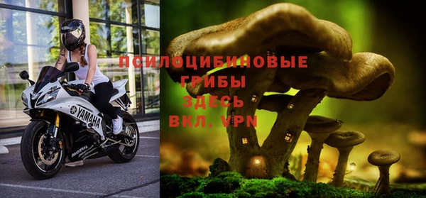 дмт Абдулино