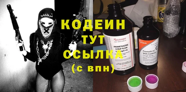 дмт Анива