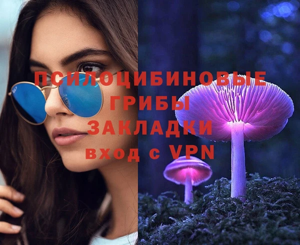 твердый Абинск